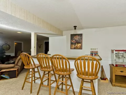 8 Settlers Ln, Springfield, IL 62707 photo 28