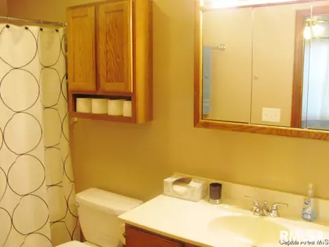 205 Hawkeye Way, Springfield, IL 62707 photo 15