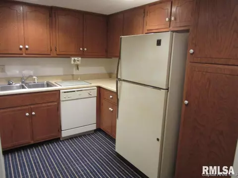 2008 Jeanette Ln E, Springfield, IL 62702 photo 6