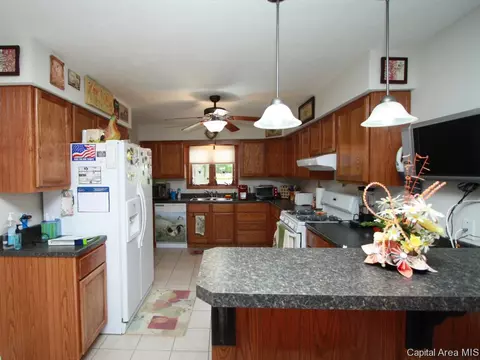 6085 Old Salem Ln, Springfield, IL 62711 photo 8