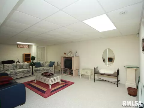 6085 Old Salem Ln, Springfield, IL 62711 photo 19
