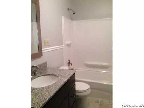 3125 S Allis St, Springfield, IL 62703 photo 10