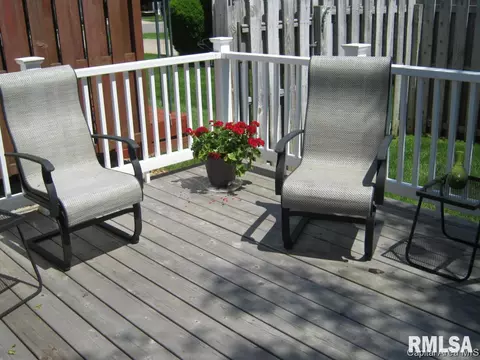 2916 Turning Mill Dr, Springfield, IL 62704 photo 28