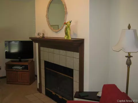 2916 Turning Mill Dr, Springfield, IL 62704 photo 8