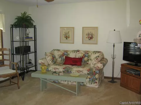 2916 Turning Mill Dr, Springfield, IL 62704 photo 7