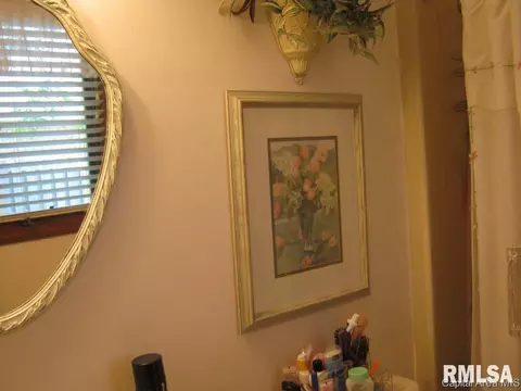 2916 Turning Mill Dr, Springfield, IL 62704 photo 19