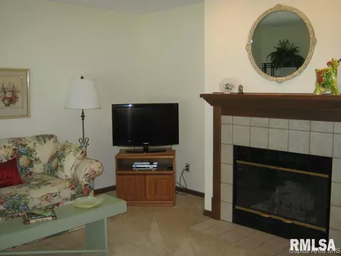 2916 Turning Mill Dr, Springfield, IL 62704 photo 2
