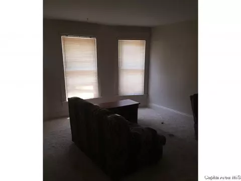 731 W Monroe St, Springfield, IL 62704 photo 8
