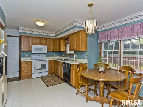 2524 Charlack Ave, Springfield, IL 62704 photo 26