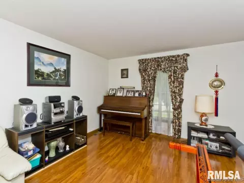 2524 Charlack Ave, Springfield, IL 62704 photo 33