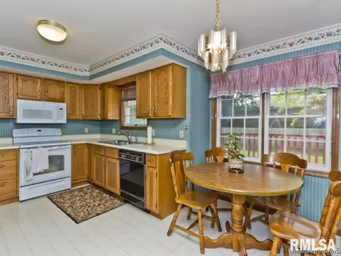 2524 Charlack Ave, Springfield, IL 62704 photo 31