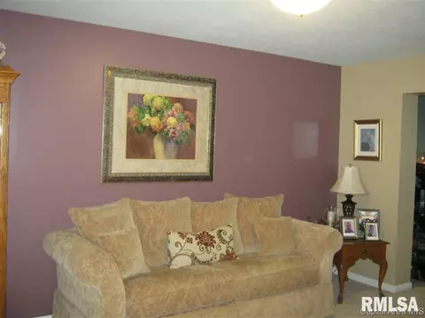 3720 Carney Blvd, Springfield, IL 62712 photo 7