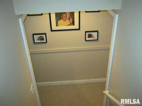 3720 Carney Blvd, Springfield, IL 62712 photo 29