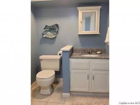 629 E Spruce St, Chatham, IL 62629 photo 25