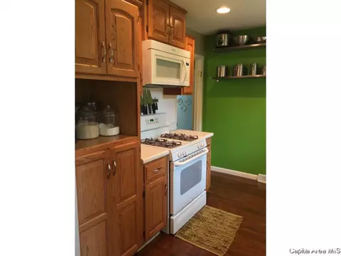 629 E Spruce St, Chatham, IL 62629 photo 9