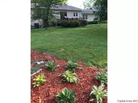 629 E Spruce St, Chatham, IL 62629 photo 35