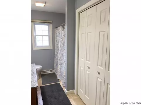 629 E Spruce St, Chatham, IL 62629 photo 14