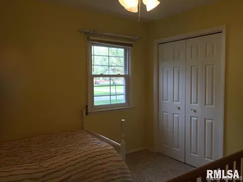 629 E Spruce St, Chatham, IL 62629 photo 20
