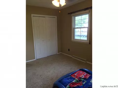 629 E Spruce St, Chatham, IL 62629 photo 23