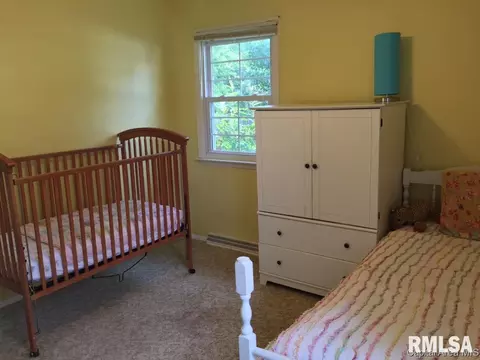 629 E Spruce St, Chatham, IL 62629 photo 21
