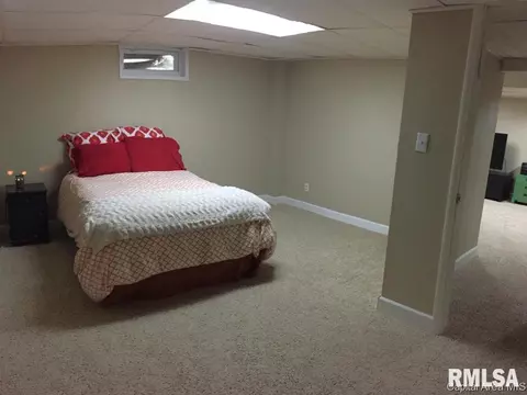 629 E Spruce St, Chatham, IL 62629 photo 24