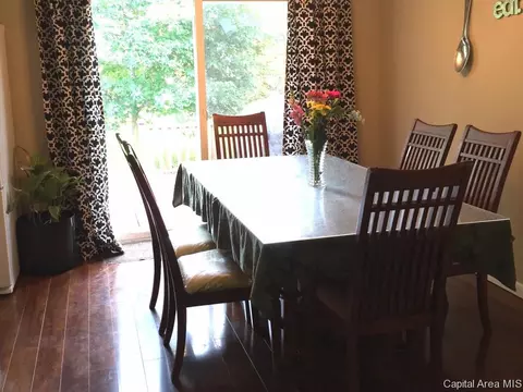 629 E Spruce St, Chatham, IL 62629 photo 7