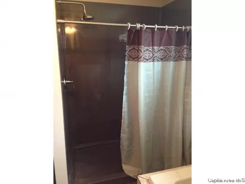 271 E 750 North Rd, Morrisonville, IL 62546 photo 7