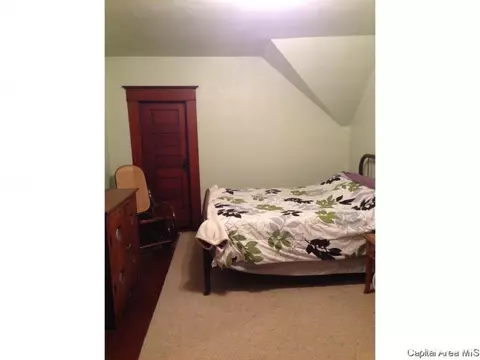 271 E 750 North Rd, Morrisonville, IL 62546 photo 17