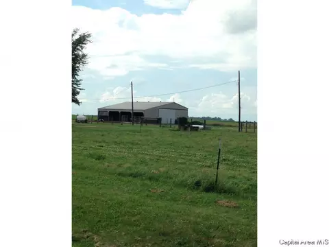 271 E 750 North Rd, Morrisonville, IL 62546 photo 14