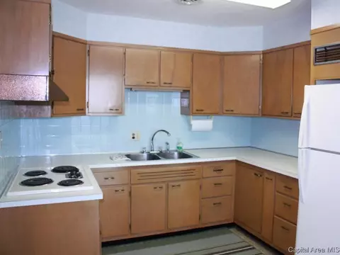 425 E Kimble, Springfield, IL 62703 photo 4