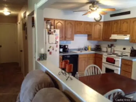 3010 Sandgate, Springfield, IL 62702 photo 6