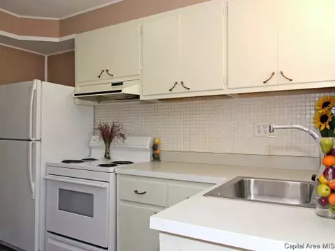 3237 S Palmer St, Springfield, IL 62703 photo 5