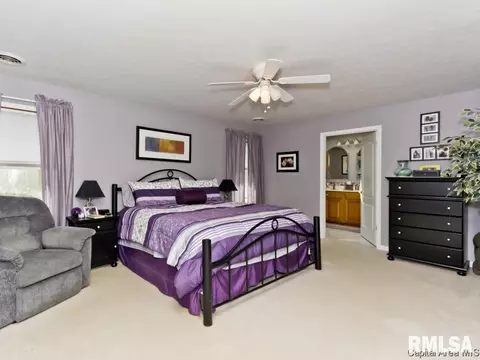 2916 Red Oak Ln, Springfield, IL 62712 photo 19