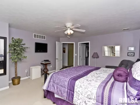 2916 Red Oak Ln, Springfield, IL 62712 photo 20