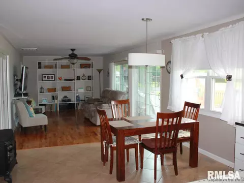 41 Devine Dr, Riverton, IL 62561 photo 5