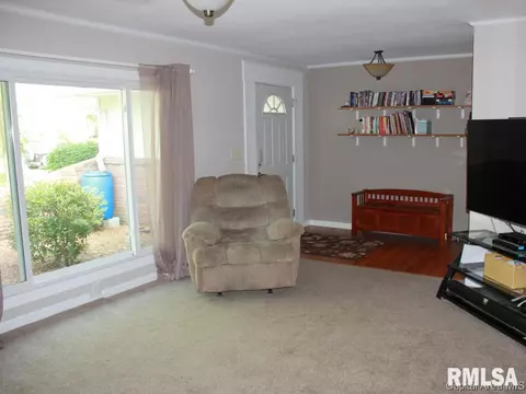 41 Devine Dr, Riverton, IL 62561 photo 16