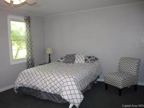 41 Devine Dr, Riverton, IL 62561 photo 20