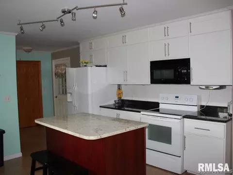 41 Devine Dr, Riverton, IL 62561 photo 12