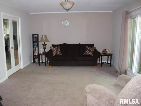 41 Devine Dr, Riverton, IL 62561 photo 14