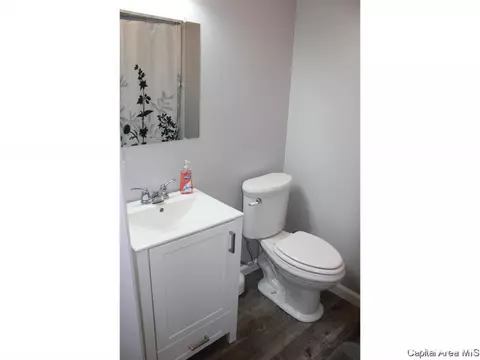 41 Devine Dr, Riverton, IL 62561 photo 24