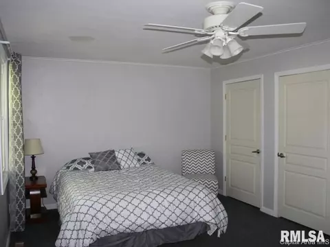 41 Devine Dr, Riverton, IL 62561 photo 22