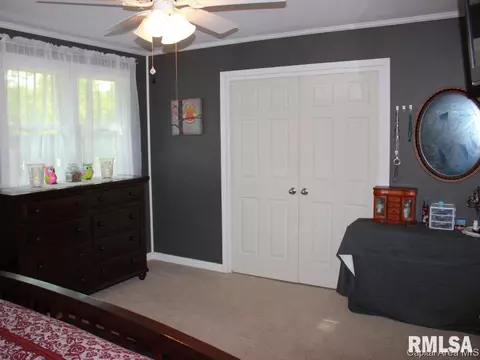 41 Devine Dr, Riverton, IL 62561 photo 19