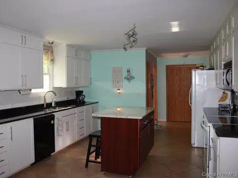 41 Devine Dr, Riverton, IL 62561 photo 11