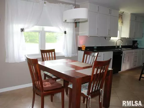 41 Devine Dr, Riverton, IL 62561 photo 9