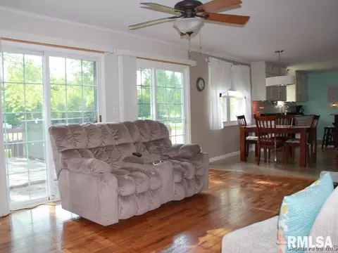 41 Devine Dr, Riverton, IL 62561 photo 8