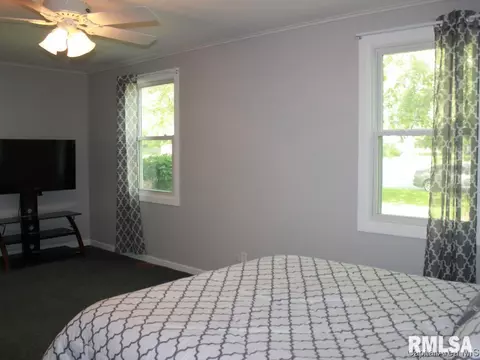 41 Devine Dr, Riverton, IL 62561 photo 21