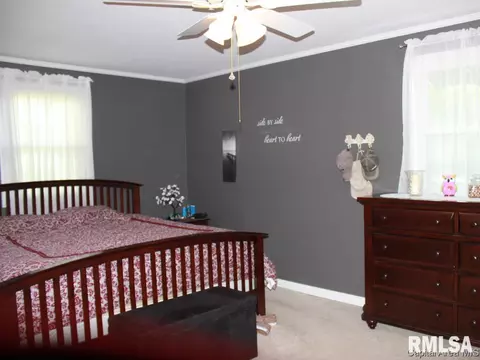 41 Devine Dr, Riverton, IL 62561 photo 17