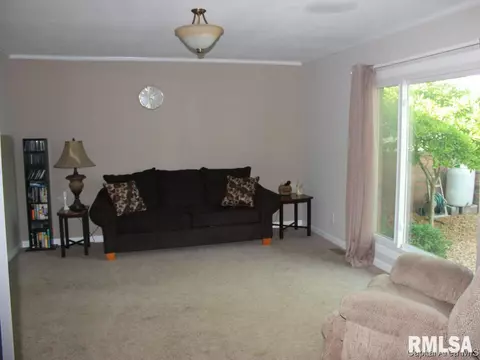 41 Devine Dr, Riverton, IL 62561 photo 15