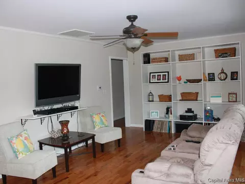 41 Devine Dr, Riverton, IL 62561 photo 4