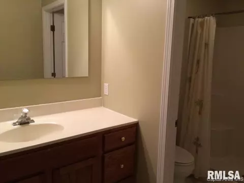 124 E Sherry Dr, Springfield, IL 62703 photo 12
